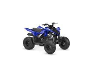 2026 YFM110R